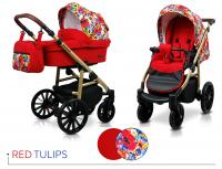 Raf-pol Aspero New Design