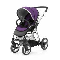OYSTER MAX Wild Purple
