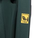 Cavoe Grand Prix Pro