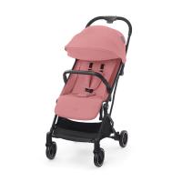 dhalia pink