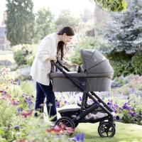 Joie Vinca + Ramble XL Signature