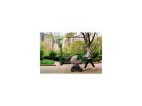 Inglesina Electa Darwin Recline 4v1