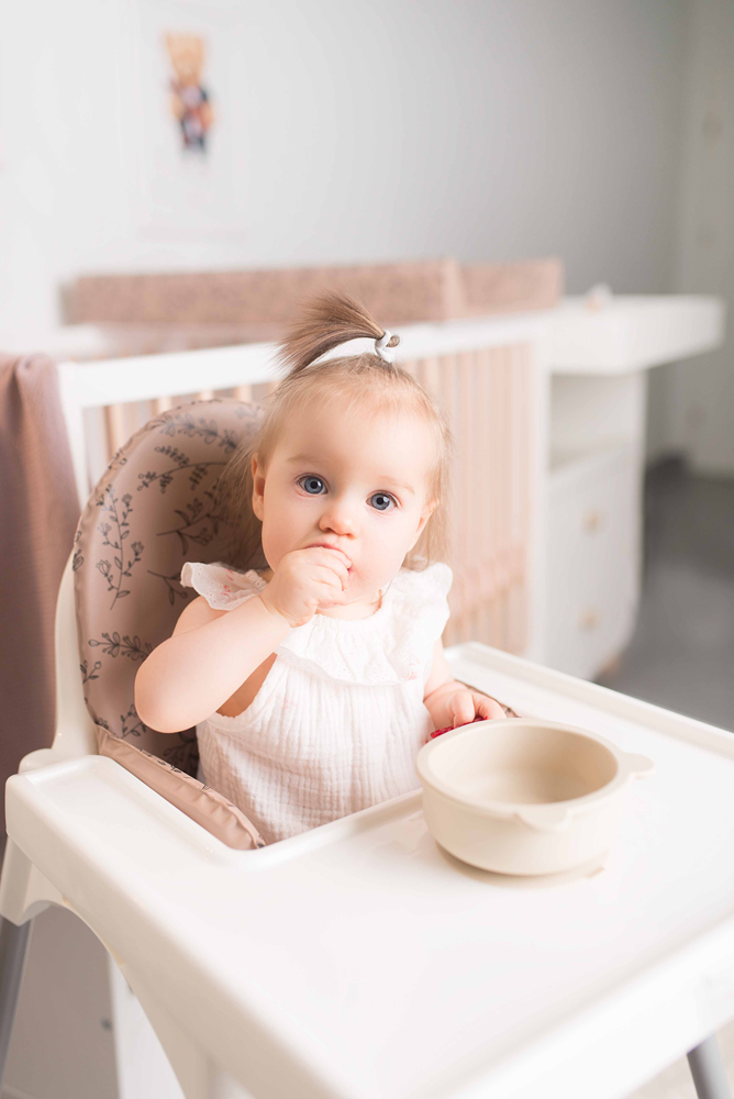 CEBA BABY Vložka do jídelní židličky (38x28) Basic Flowers