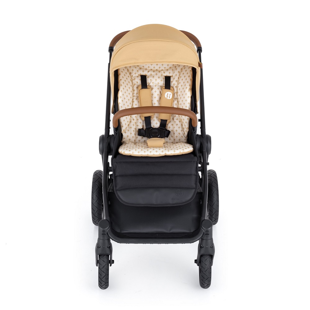 PETITE&amp;MARS Kočárek kombinovaný 2v1 Trails Heritage Bee