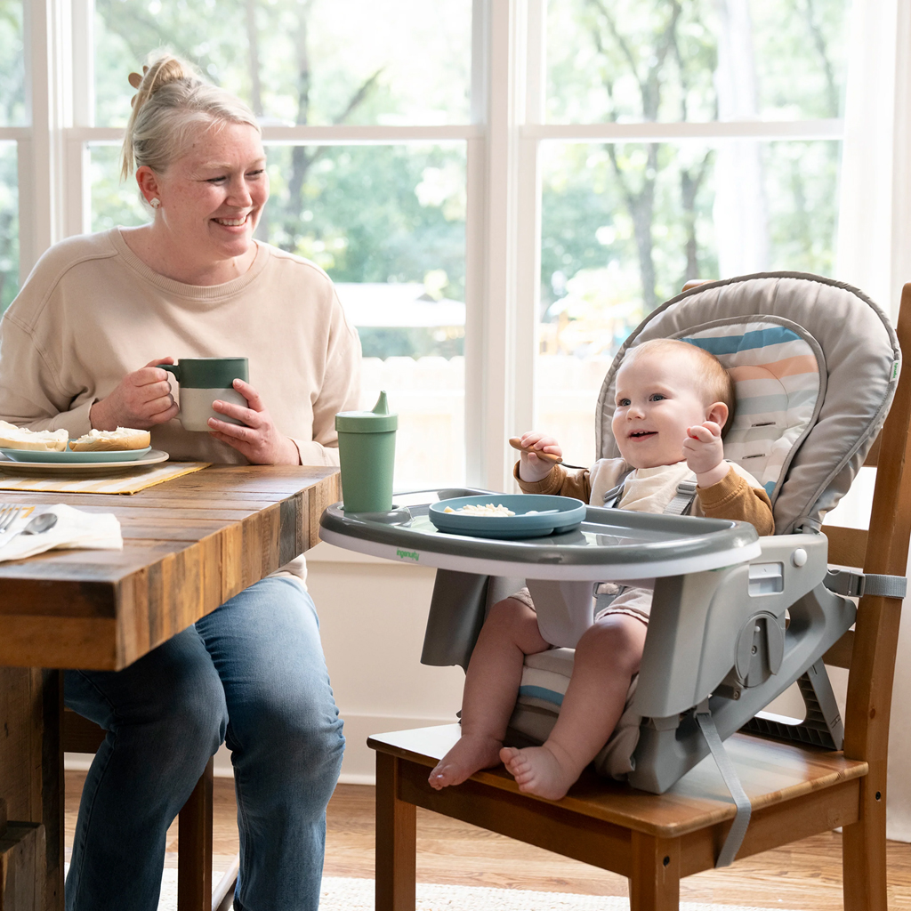 INGENUITY Židlička jídelní multifunkční Soulful Skies™ 0m+ do 23kg