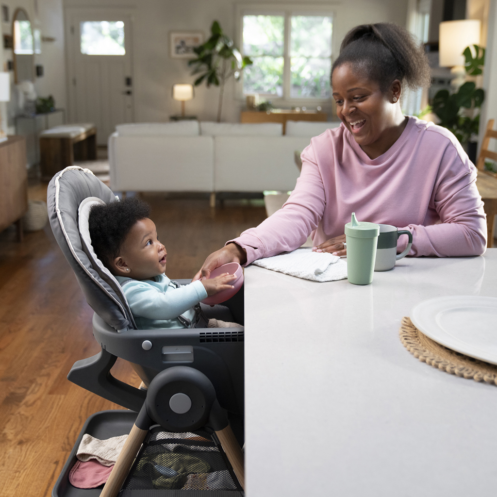 INGENUITY Židlička jídelní multifunkční Wesley™ 0m+ do 23kg