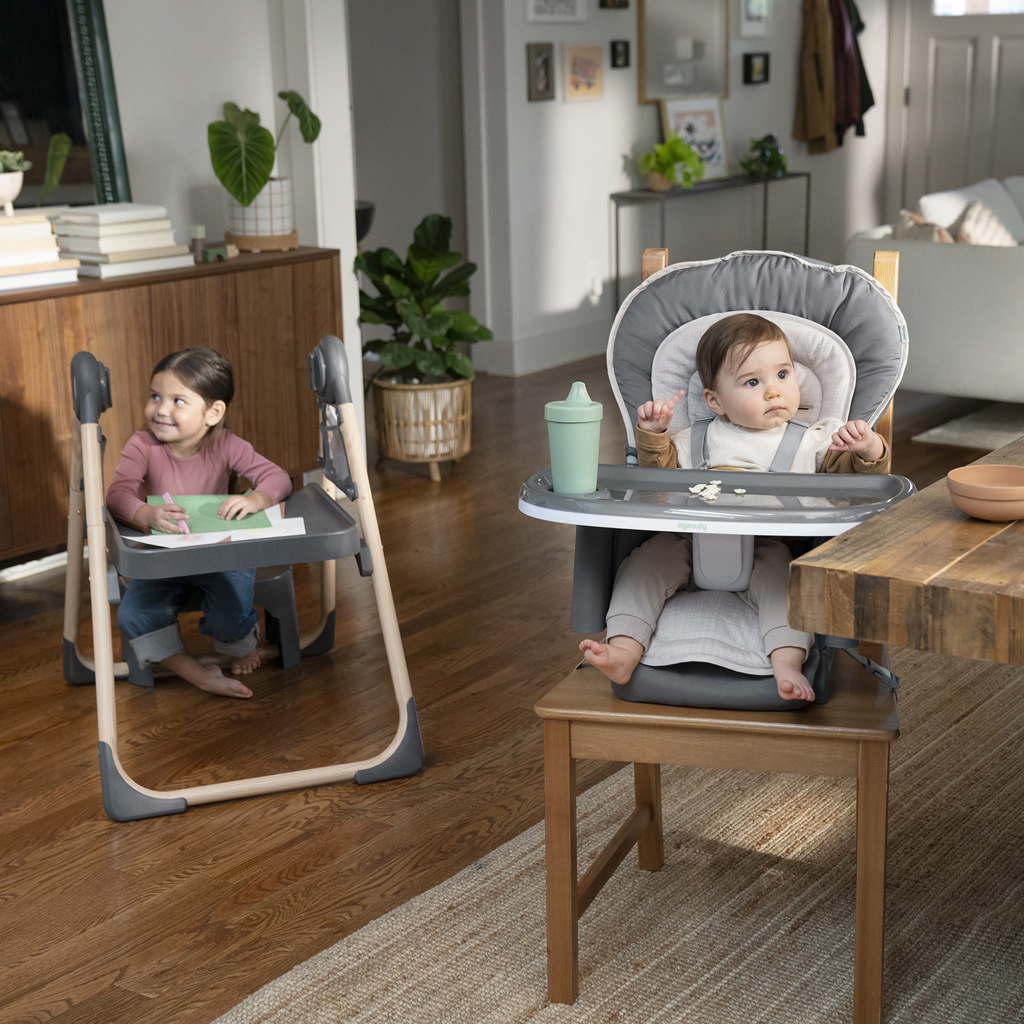 INGENUITY Židlička jídelní multifunkční Wesley™ 0m+ do 23kg