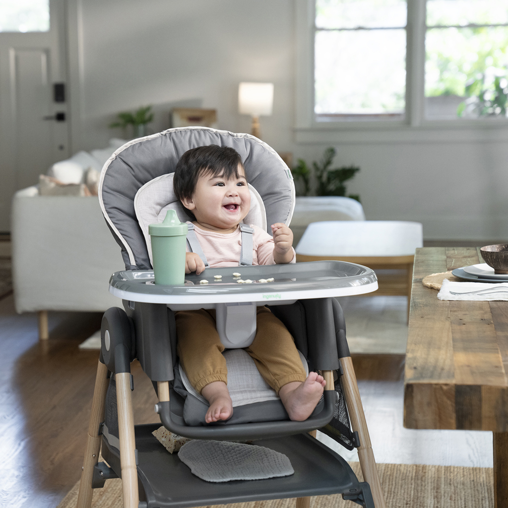 INGENUITY Židlička jídelní multifunkční Wesley™ 0m+ do 23kg