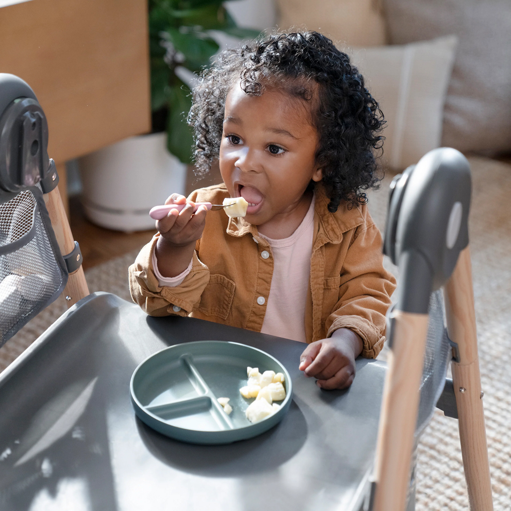 INGENUITY Židlička jídelní multifunkční Wesley™ 0m+ do 23kg