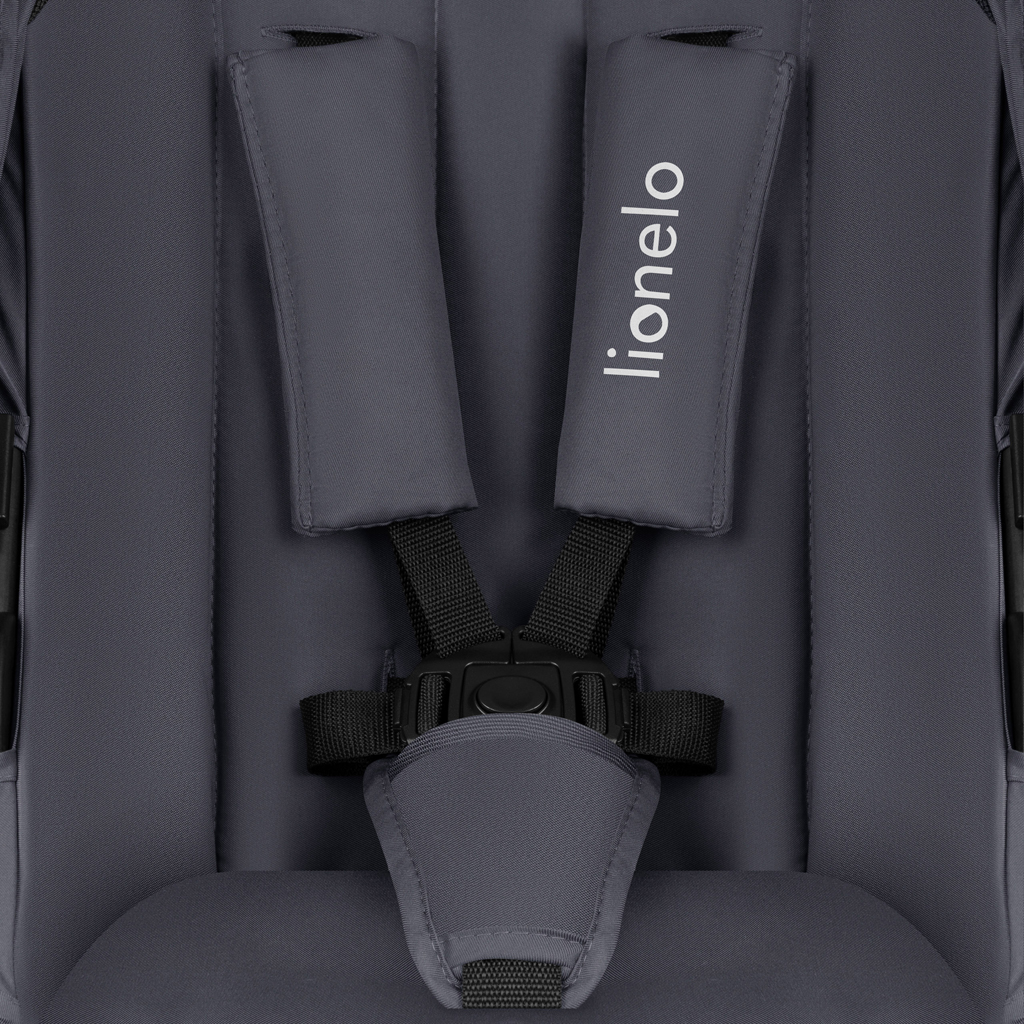 LIONELO Kočárek kombinovaný Amber Plus 3v1 Grey Graphite