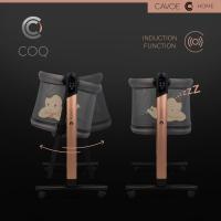 CAVOE Coq
