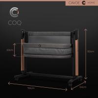 CAVOE Coq