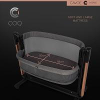 CAVOE Coq