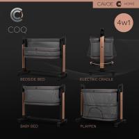 CAVOE Coq