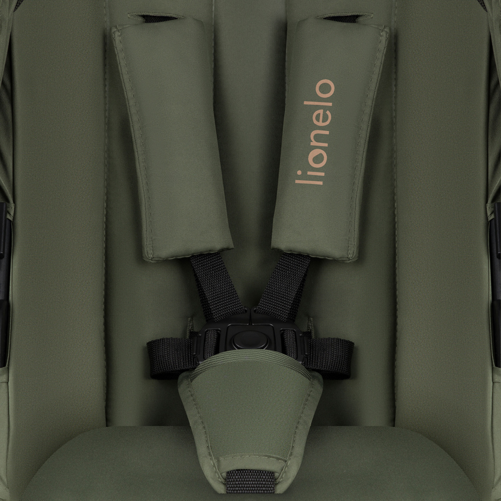 LIONELO Kočárek kombinovaný Amber Plus 3v1 Green Forest